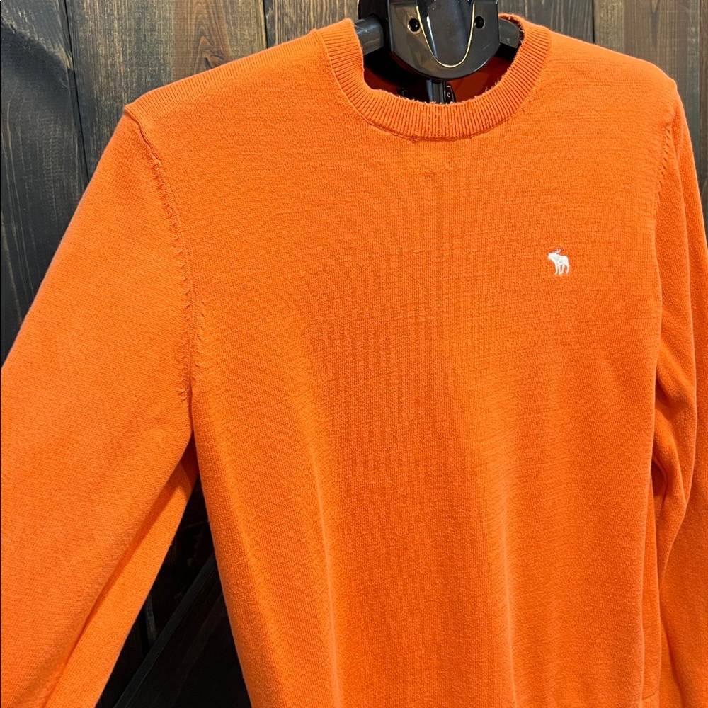 Abercrombie & Fitch Sweatshirt M Orange Moose Graphic Logo Crewneck Soft Preppy - Picture 2 of 10